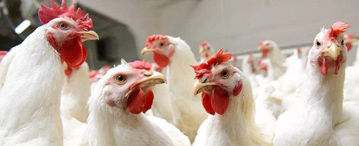 b9e4d1f60f869fa788cc55e866aa6d6f