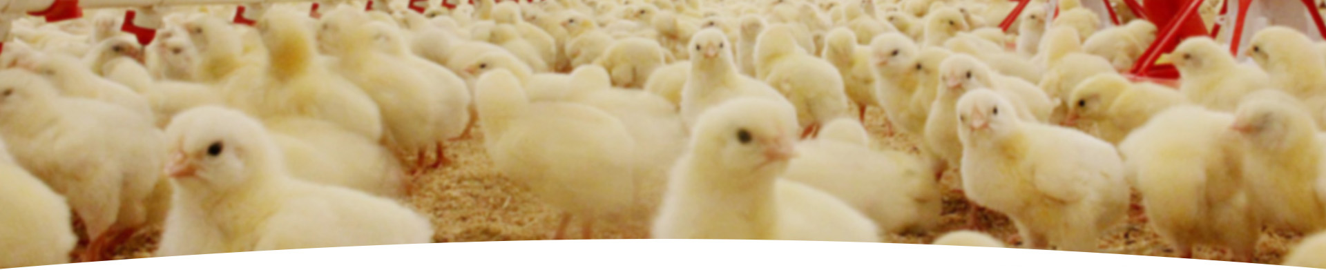 2be3cd03b1b922e4d46df736a5cca0e5