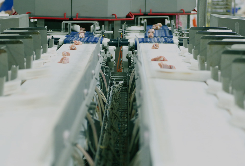 2ec2bf54288dab5a717bd5d3d89f5b14