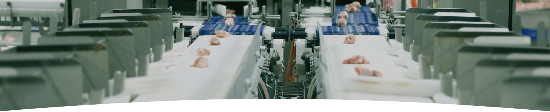 e5b54c7361bedf34d52dea3000b04899