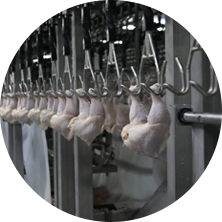 7773632d248f154ddcb0f81dfed566c5